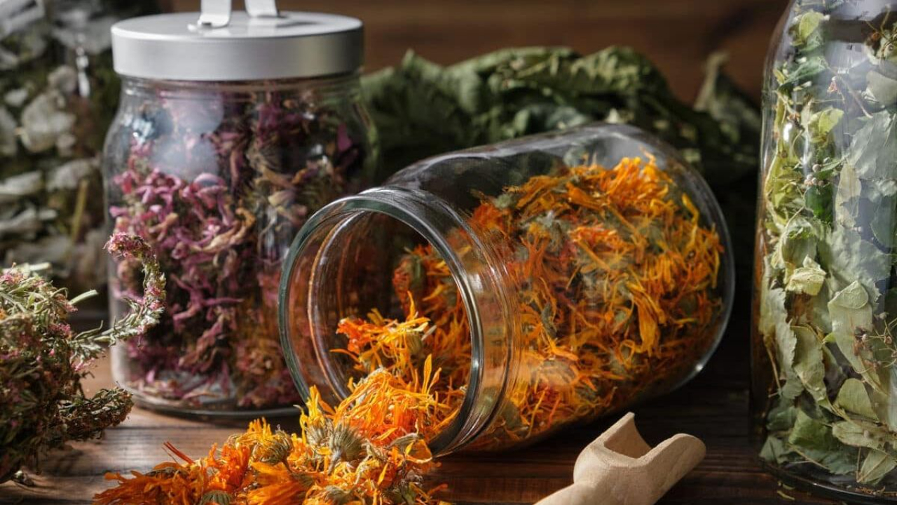 variety of dried herbs in clear glass jars on a table.