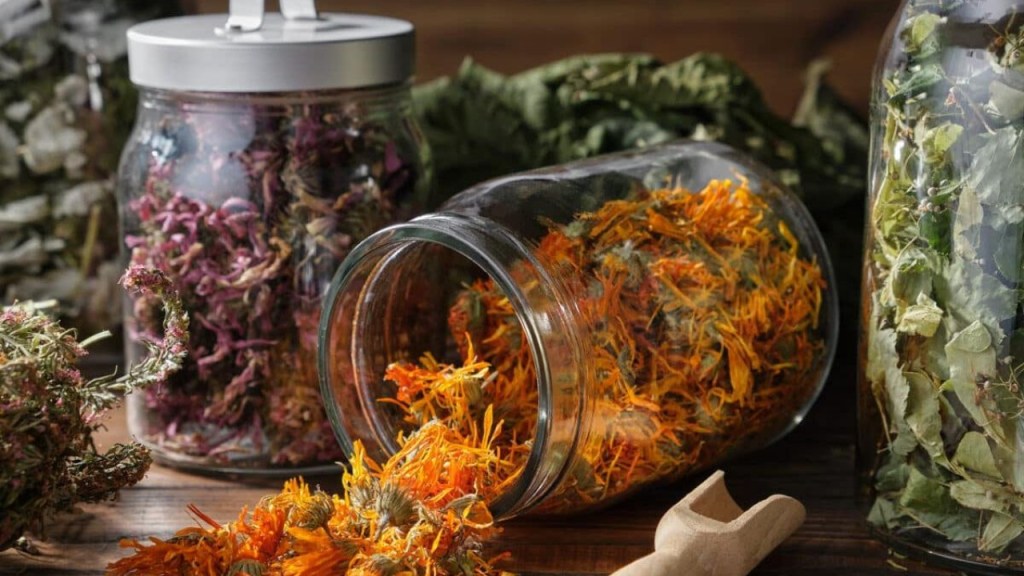variety of dried herbs in clear glass jars on a table.