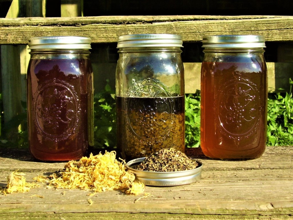 Herbal Tinctures Explained: Answers to the Questions Everyone&nbsp;Asks