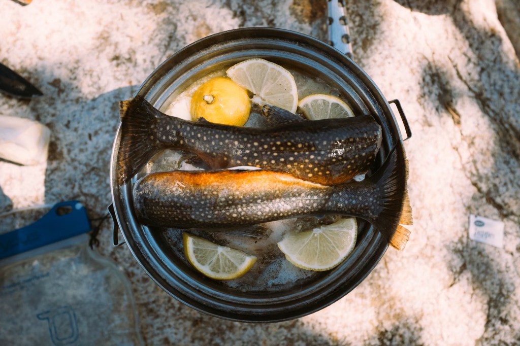 Fresh fish with lemon slices in a cooking pot.