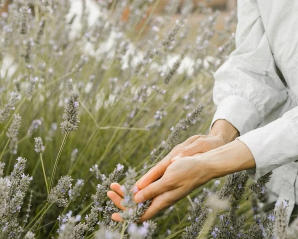 A person in an herb garden holding growing herbs.