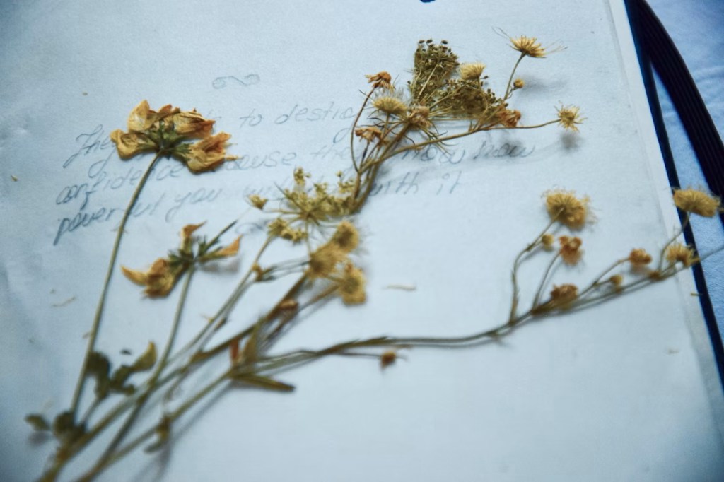A close up of an open journal with a sprig of dried flowers laying across it.
