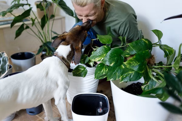 person surrounded by plants and a dog