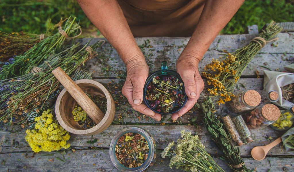 herbalist holding bowl of dried herbs on a rough wooden table with herbal bundles and bowls on it from above.