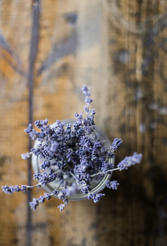 🌿 Herbal Pantry Staples: Herbs You Should Always Have on&nbsp;Hand