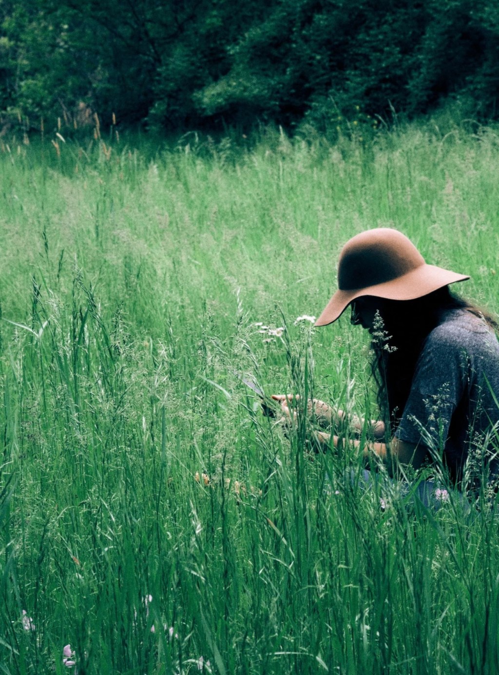 8 Lessons from real-world herbal practice